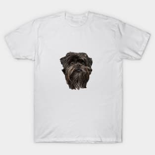 Affenpinscher Cute Puppy Dog Face T-Shirt